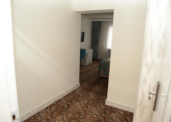 Saydes & Konukevi̇ 4* Ankara