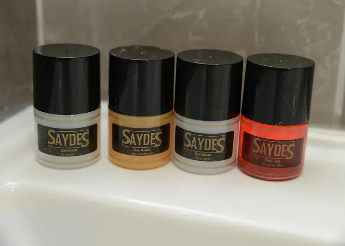 מלון Saydes & Konukevi̇ אנקרה